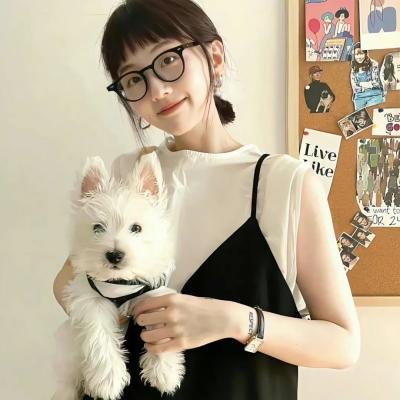 舞动青春 动画 封面