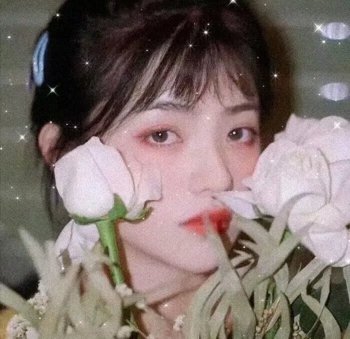 森林的黑暗心脏 封面
